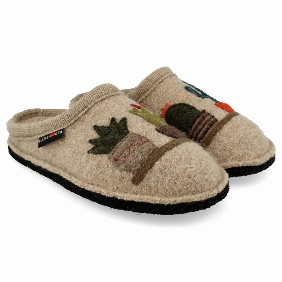 Chaussons Novelty Haflinger Cactus Femme Beige | ERV7155VN