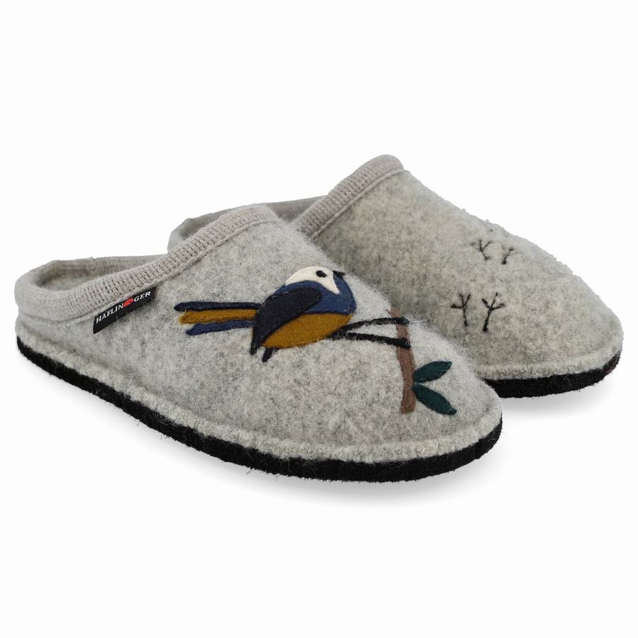 Chaussons Novelty Haflinger Songbird Homme Argent Grise | NYN3949UV