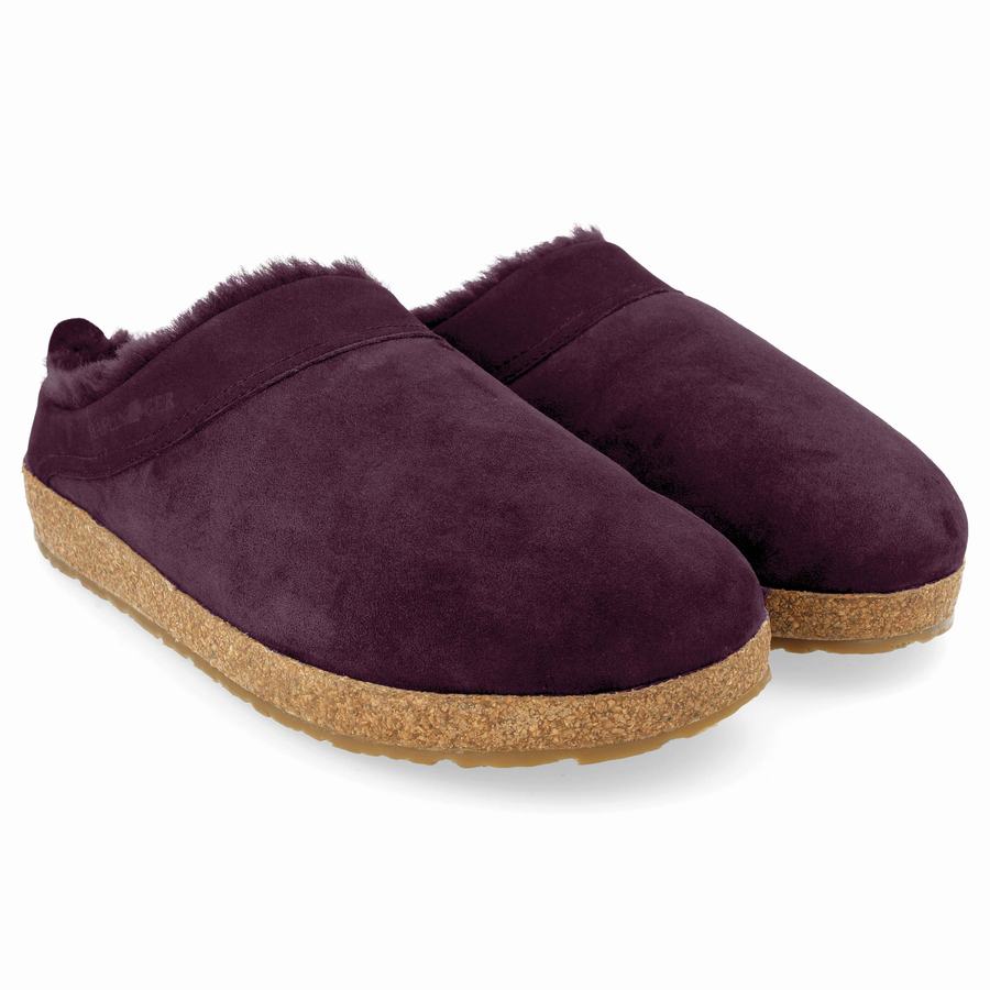 Sabots Haflinger Snowbird Homme Violette | LVY1511TT