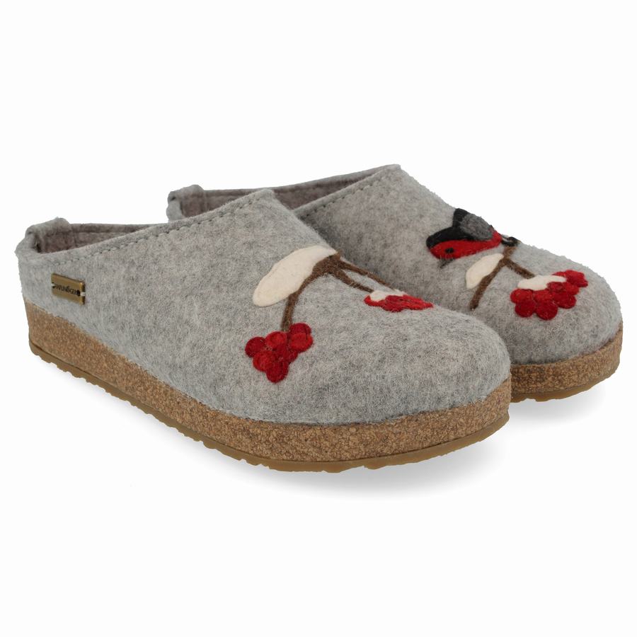 Sabots Haflinger Winterbird Homme Argent Grise | KCJ95CS