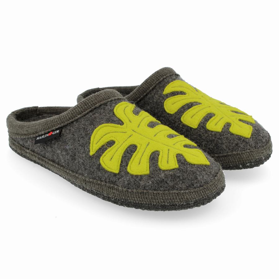 Chaussons Novelty Haflinger Monstera Femme Grise | DPK3297NR