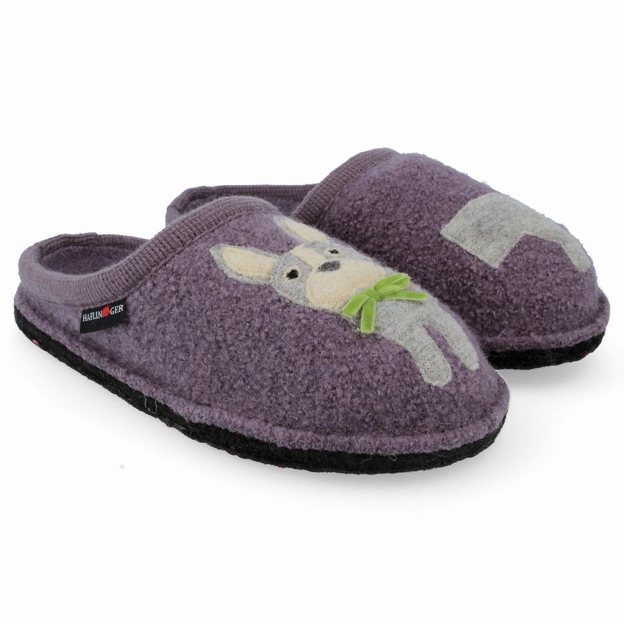 Chaussons Novelty Haflinger Puppy Femme Violette | YHF5685IO