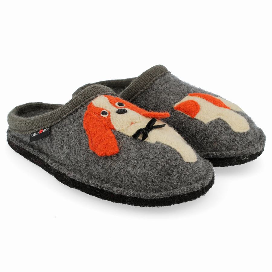 Chaussons Novelty Haflinger Spaniel Femme Grise | GSU4866AZ