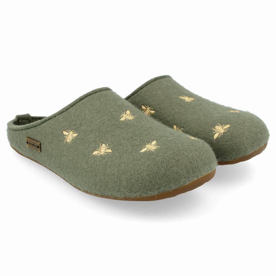 Chaussons à semelle souple Haflinger Api Femme Vert Clair | QLA6649IZ